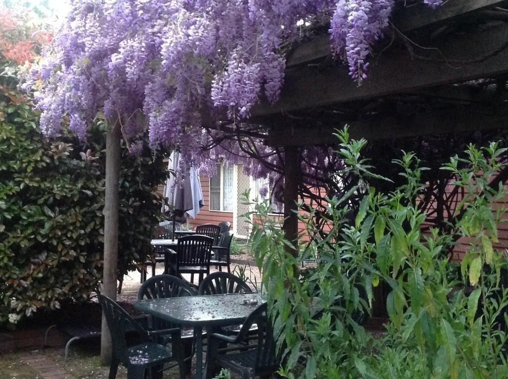Emeu Inn Bed & Breakfast Bendigo Exterior photo